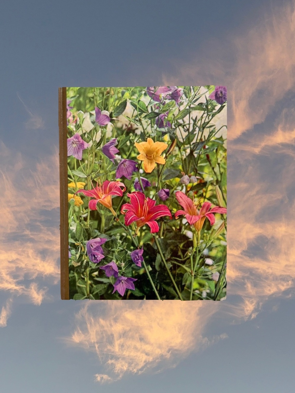 Vintage 1970's Perennials Floral Guidebook